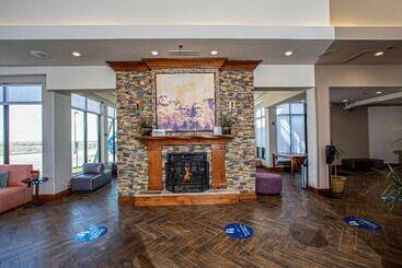 Отель Hilton Garden Inn Rapid City