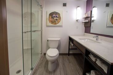 Отель Hilton Garden Inn Rapid City
