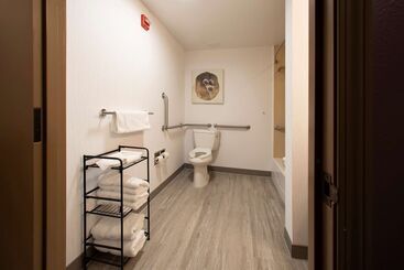 Отель Hilton Garden Inn Rapid City