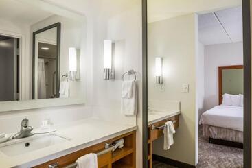 هتل Springhill Suites Hampton