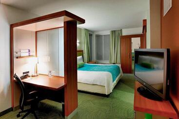 هتل Springhill Suites By Marriott Lake Charles