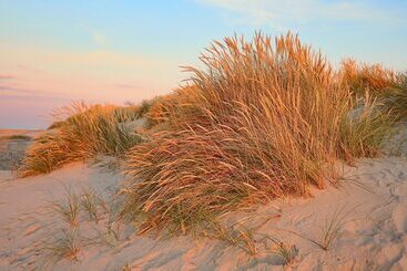 هتل Strandly Skagen