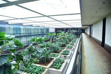 Park Hyatt Hotel And Residences, Hyderabad