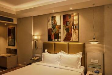 هتل Park Plaza Faridabad
