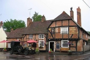 هتل The Plume Of Feathers
