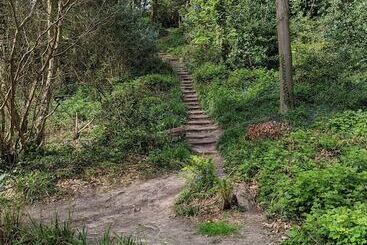 تختخواب و صبحانه Summerfields House