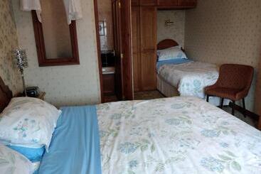 هتل Alltyfyrddin Farm Guest House At The Merlin S Hill Centre