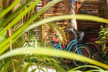 هتل Kin Ha Tulum