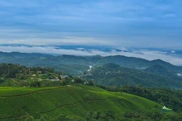 هتل Misty Mountain Resort