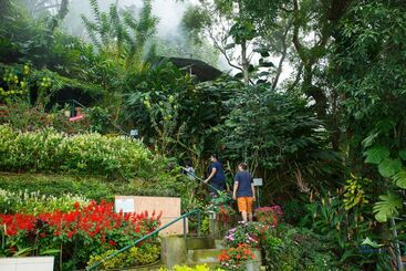 هتل Misty Mountain Resort