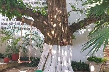 هتل Posada Sian Kaan Playa Del Carmen