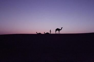 هتل The Silk Route
