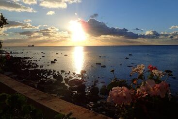 Le Cactus Guest House - Baie du Tombeau