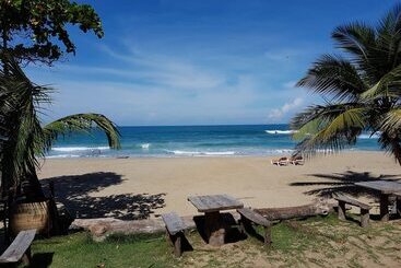 تختخواب و صبحانه Cabarete Maravilla Eco Lodge Boutique Beach Surf Encuentro, Kite, By Aa Group