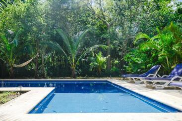 تختخواب و صبحانه Villas Picalu Lodge
