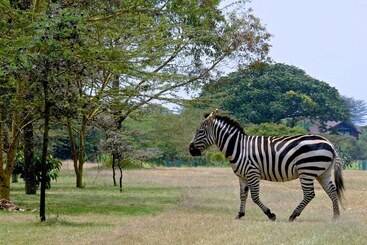 The Great Rift Valley Lodge & Golf Resort