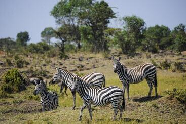 هتل Diamonds Dream Of Africa