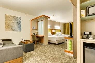 هتل Springhill Suites By Marriott Mcallen Convention Center