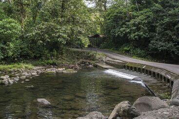 هتل Tapirus Lodge