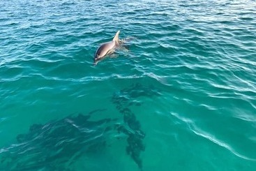 استراحتگاه Origin At Seahaven