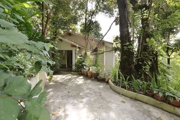 هتل Ambong Rainforest Retreat