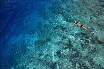 هتل Dusit Thani Maldives