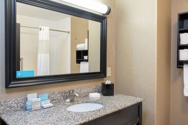 هتل Hampton Inn & Suites Saginaw