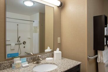 هتل Hampton Inn & Suites Saginaw