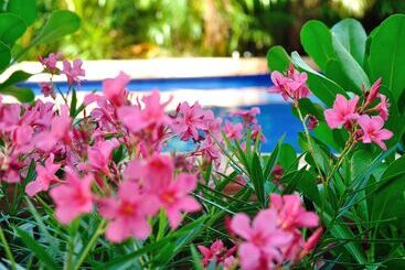 La Pasion Colonial Hotel Boutique By Bunik