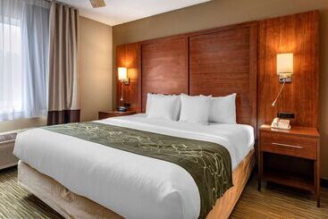 هتل Comfort Suites North