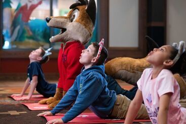 هتل Great Wolf Lodge Kansas City