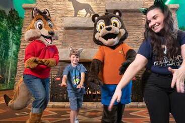 هتل Great Wolf Lodge Sandusky