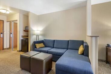 هتل Comfort Inn & Suites Mitchell I 90