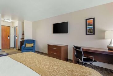 هتل Comfort Inn & Suites Mitchell I 90