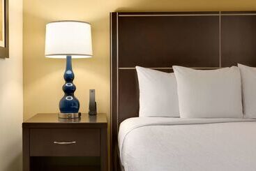 هتل Hilton Garden Inn Houston Nw America Plaza