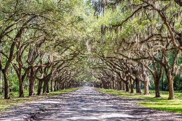 هتل Holiday Inn Savannah Historic District, An Ihg