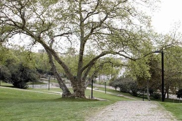 هتل Rossio