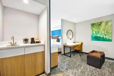 هتل Springhill Suites Erie