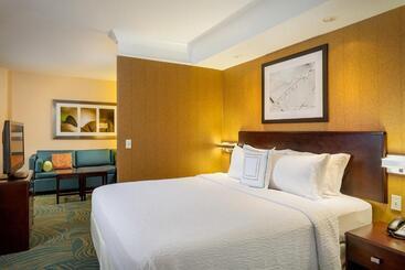هتل آپارتمان Springhill Suites By Marriott Modesto