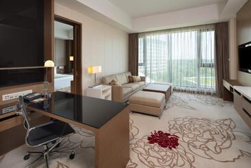 هتل Holiday Inn Nanyang By Ihg