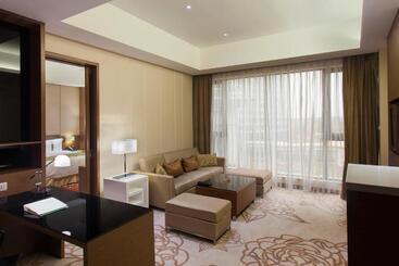 هتل Holiday Inn Nanyang By Ihg