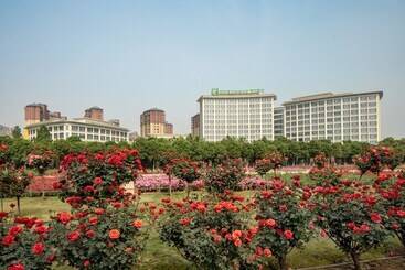 هتل Holiday Inn Nanyang By Ihg