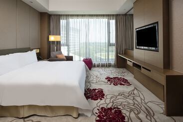 هتل Holiday Inn Nanyang By Ihg