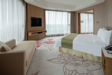 هتل Holiday Inn Nanyang By Ihg