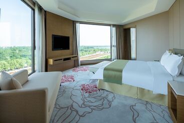 هتل Holiday Inn Nanyang By Ihg