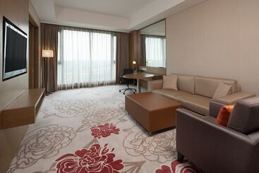 هتل Holiday Inn Nanyang By Ihg