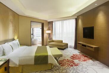 هتل Holiday Inn Nanyang By Ihg