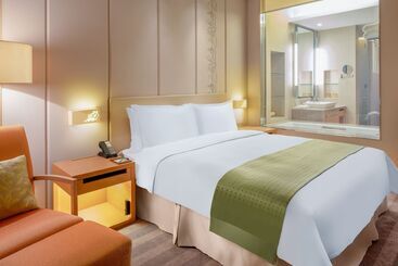 هتل Holiday Inn Nanyang By Ihg