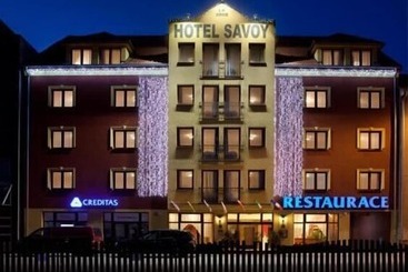 酒店 Savoy