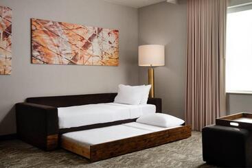 هتل Springhill Suites Minneapolisst. Paul Airport/mall Of America